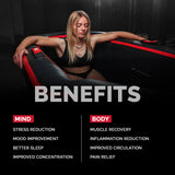 Pack Profissional Netspa UFC IceBath II – Banho de Gelo com Chiller de Refrigeração Automática