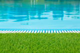 Relva Natural TurfQuick Rolo de 25 m2 – Tapete Pré-Semeado Biodegradável (Resultados em 15 Dias)