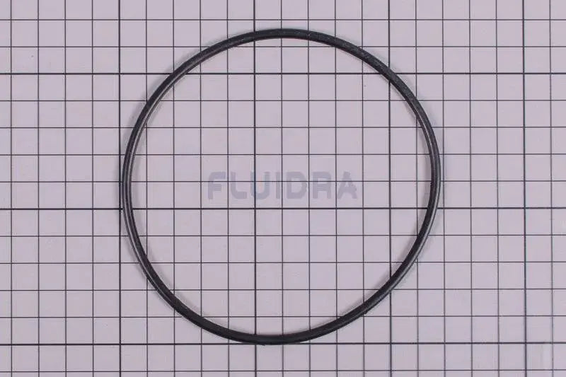 Junta de Substituição para Tampa de Pré-Filtro de Bomba Fiji (Ref: 4405010001)