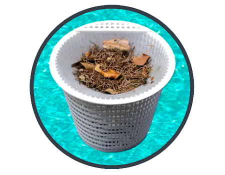 Net Skim Toucan Pré-filtro para Skimmer  (Caixa com 12 Unidades) – Proteção Extra para a Bomba